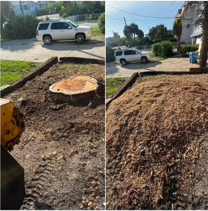 Volusia Bobcat & Tree Service crew performing tree care in Central Florida